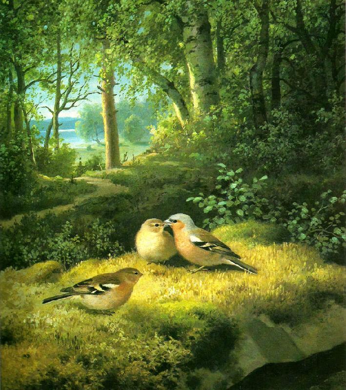 broderna von wrights bofinkar i glanta oil painting image
